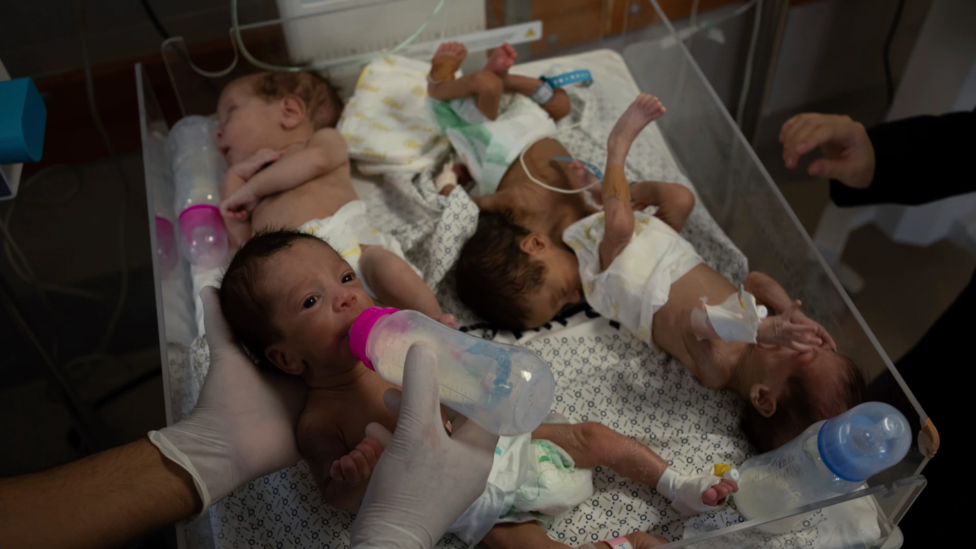 Bebés son atendidos en un hospital de la Franja de Gaza