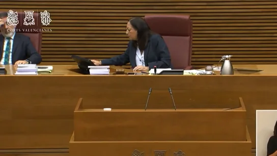 Llanos Massó, en el momento en el que los micrófonos la captan diciendo: "Que les den por saco" Llanos Massó, en el momento en el que los micrófonos la captan diciendo: "Que les den por saco"