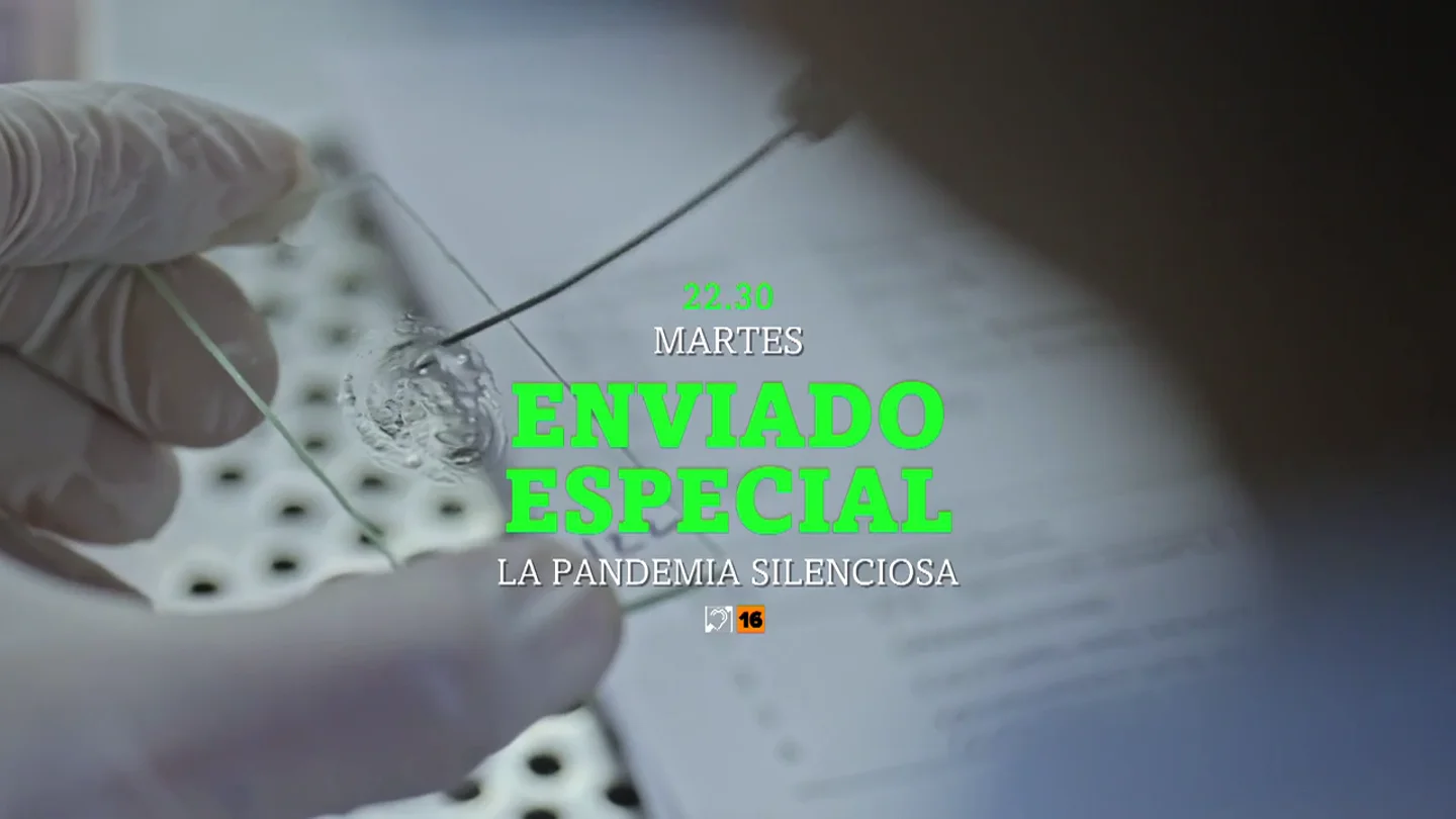 Hoy, en Enviado Especial, Jalis de la Serna destapa el peligro invisible que ya nos está matando: la pandemia de las superbacterias Hoy, en Enviado Especial, Jalis de la Serna destapa el peligro invisible que ya nos está matando: la pandemia de las superbacterias