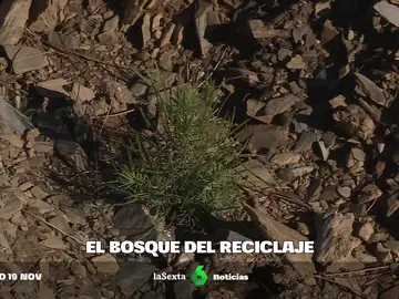 Así se recupera un bosque gracias a los envases de Reciclos 