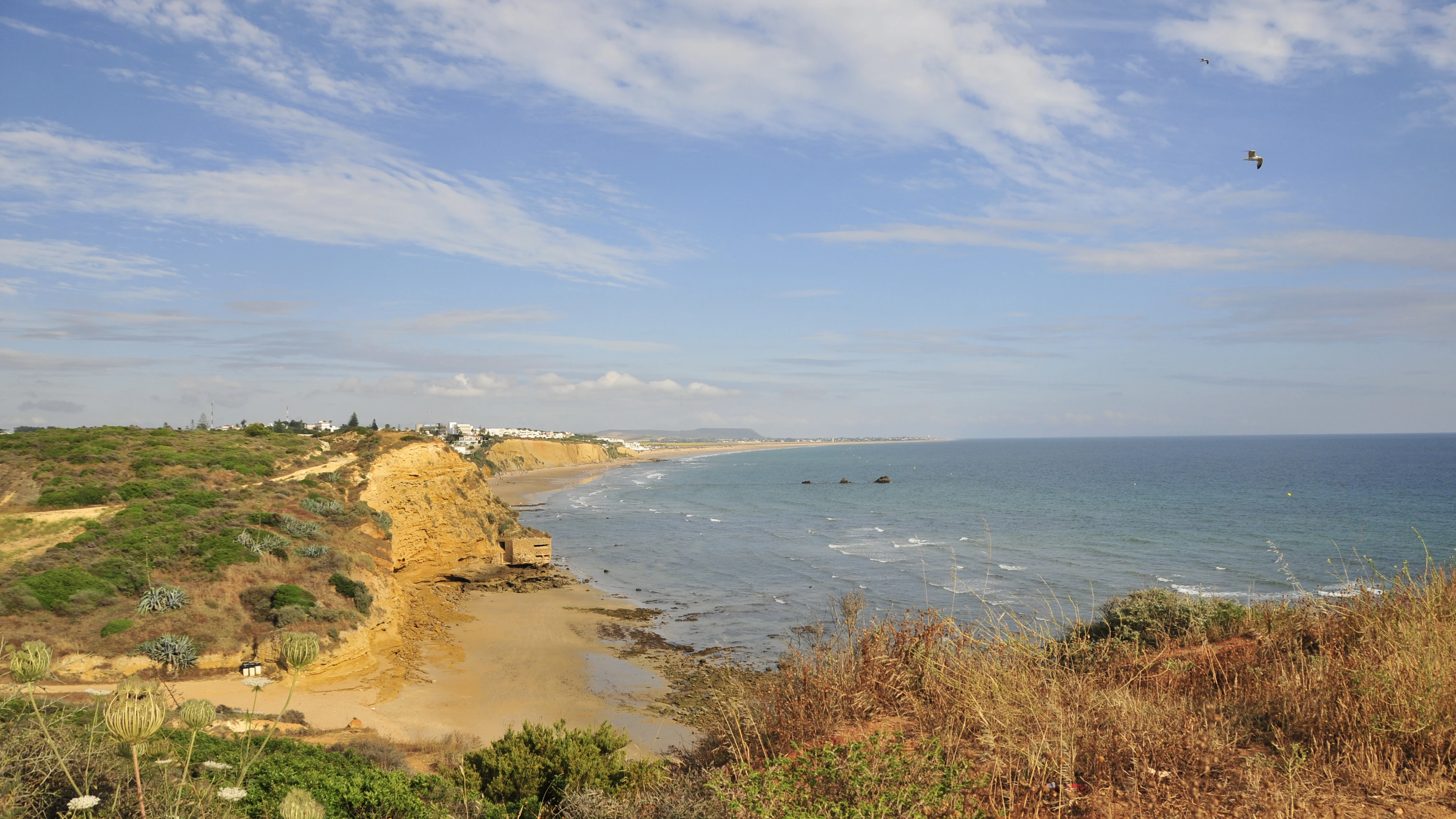 Acantilados de Roche en Conil de la Frontera (Cádiz) Acantilados de Roche en Conil de la Frontera (Cádiz)