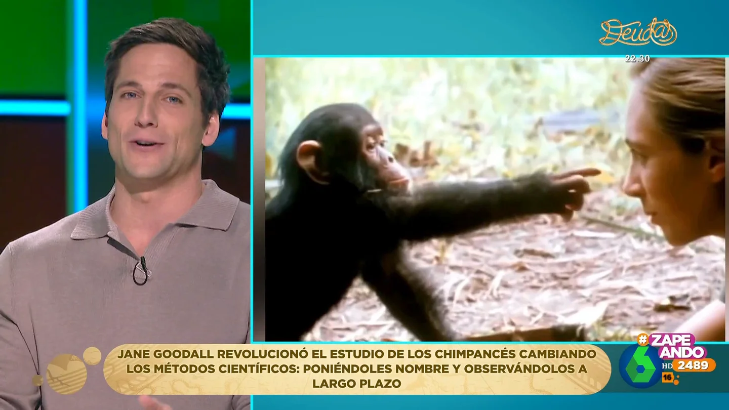 Gotzon repasa cómo revolucionó Jane Goodall el estudio de los chimpancés: "Será difícil que se repita una figura así" Gotzon repasa cómo revolucionó Jane Goodall el estudio de los chimpancés: "Será difícil que se repita una figura así"
