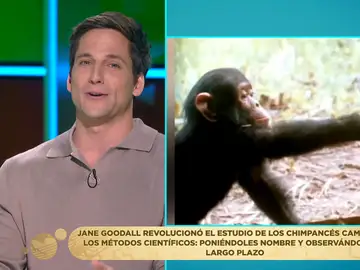 Gotzon repasa cómo revolucionó Jane Goodall el estudio de los chimpancés: &quot;Será difícil que se repita una figura así&quot;