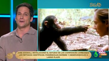 Gotzon repasa cómo revolucionó Jane Goodall el estudio de los chimpancés: "Será difícil que se repita una figura así"