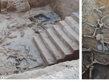 Científicos descubren el gigantesco sacrificio de animales realizado durante un ritual Científicos descubren el gigantesco sacrificio de animales realizado durante un ritual