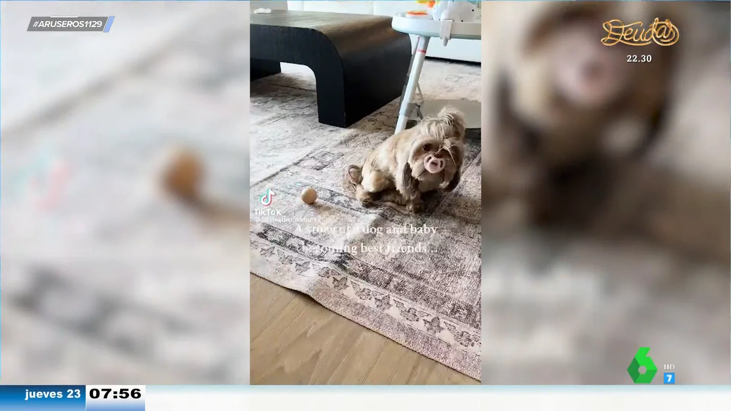 La reacción de un bebé cuando su perro le roba su chupete favorito La reacción de un bebé cuando su perro le roba su chupete favorito