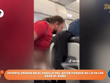 Una pasajera amenaza con orinar en el pasillo del avión cuando le dicen que no puede usar el baño