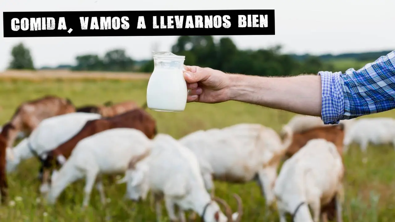 Las diferencias nutricionales entre la leche ecológica y la leche convencional