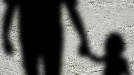 Las dificultades para detectar la violencia vicaria, una de las formas más crueles de maltrato a las mujeres Las dificultades para detectar la violencia vicaria, una de las formas más crueles de maltrato a las mujeres