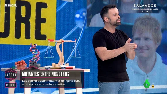 ¿Son los pelirrojos mutantes? Ricardo Moure señala que la clave está en el gen receptor de la melanocortina ¿Son los pelirrojos mutantes? Ricardo Moure señala que la clave está en el gen receptor de la melanocortina