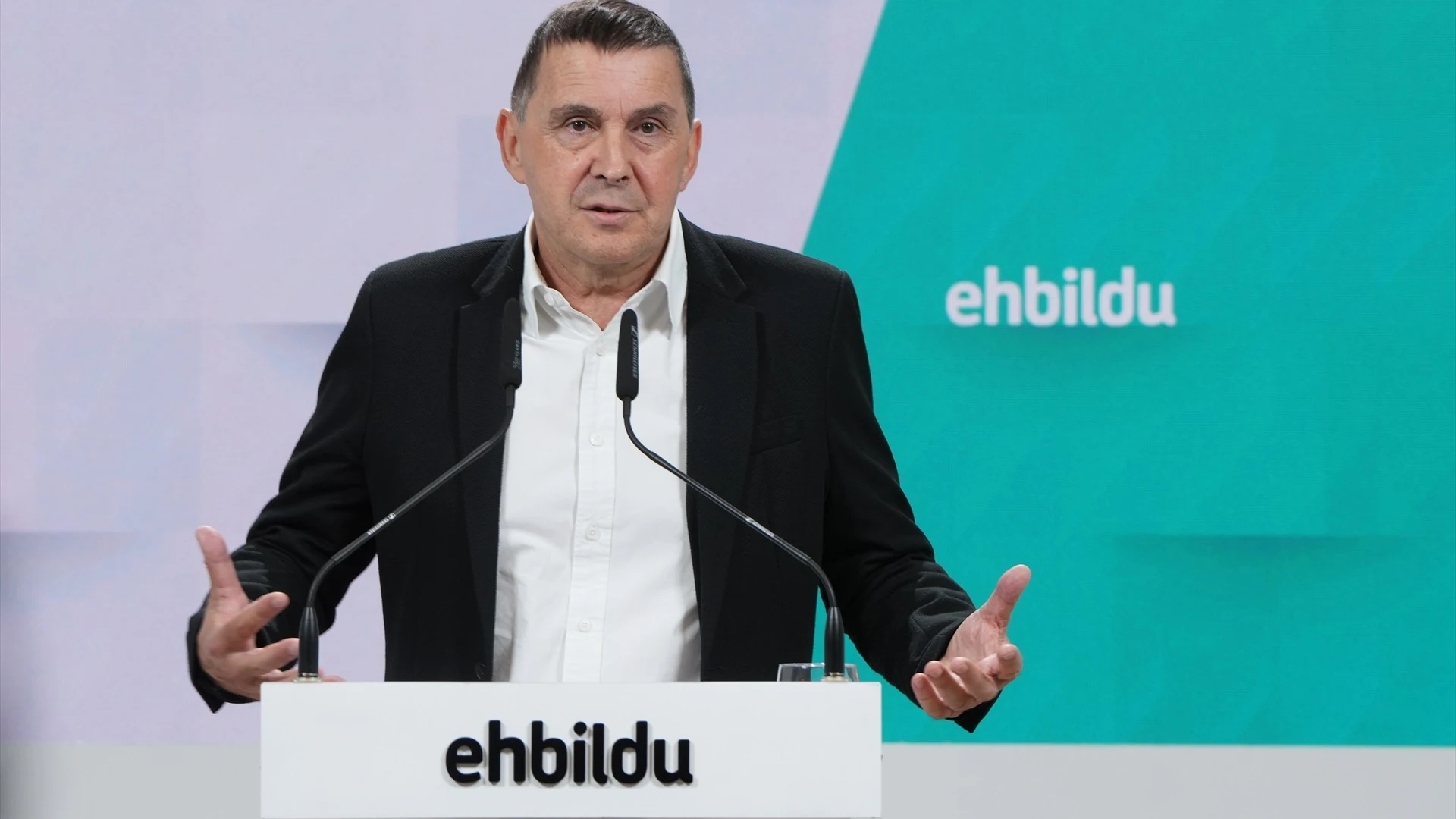 Arnaldo Otegi, coordinador general de EH Bildu