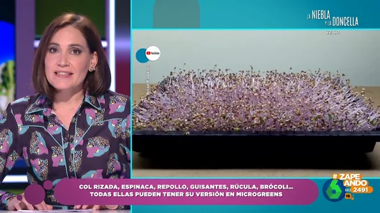 Boticaria desvela qué plantas pueden tener su versión en 'microgreens' o tamaño bebé Boticaria desvela qué plantas pueden tener su versión en 'microgreens' o tamaño bebé