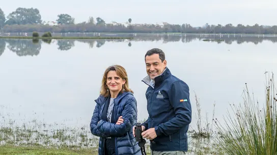 La vicepresidenta tercera, Teresa Ribera, y el presidente andaluz, Juanma Moreno, en el Parque Nacional de Doñana La vicepresidenta tercera, Teresa Ribera, y el presidente andaluz, Juanma Moreno, en el Parque Nacional de Doñana
