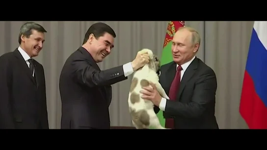 Jalis de la Serna, al saber que el presidente de Turkmenistán regaló un perro a Putin: "Ojalá los trate mejor que a las personas" Jalis de la Serna, al saber que el presidente de Turkmenistán regaló un perro a Putin: "Ojalá los trate mejor que a las personas"
