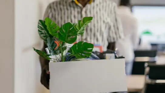 Qué derechos tengo si me despiden del trabajo Qué derechos tengo si me despiden del trabajo