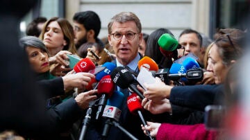 El líder del Partido Popular, Alberto Núñez-Feijóo, realiza declaraciones ante medios de comunicación.