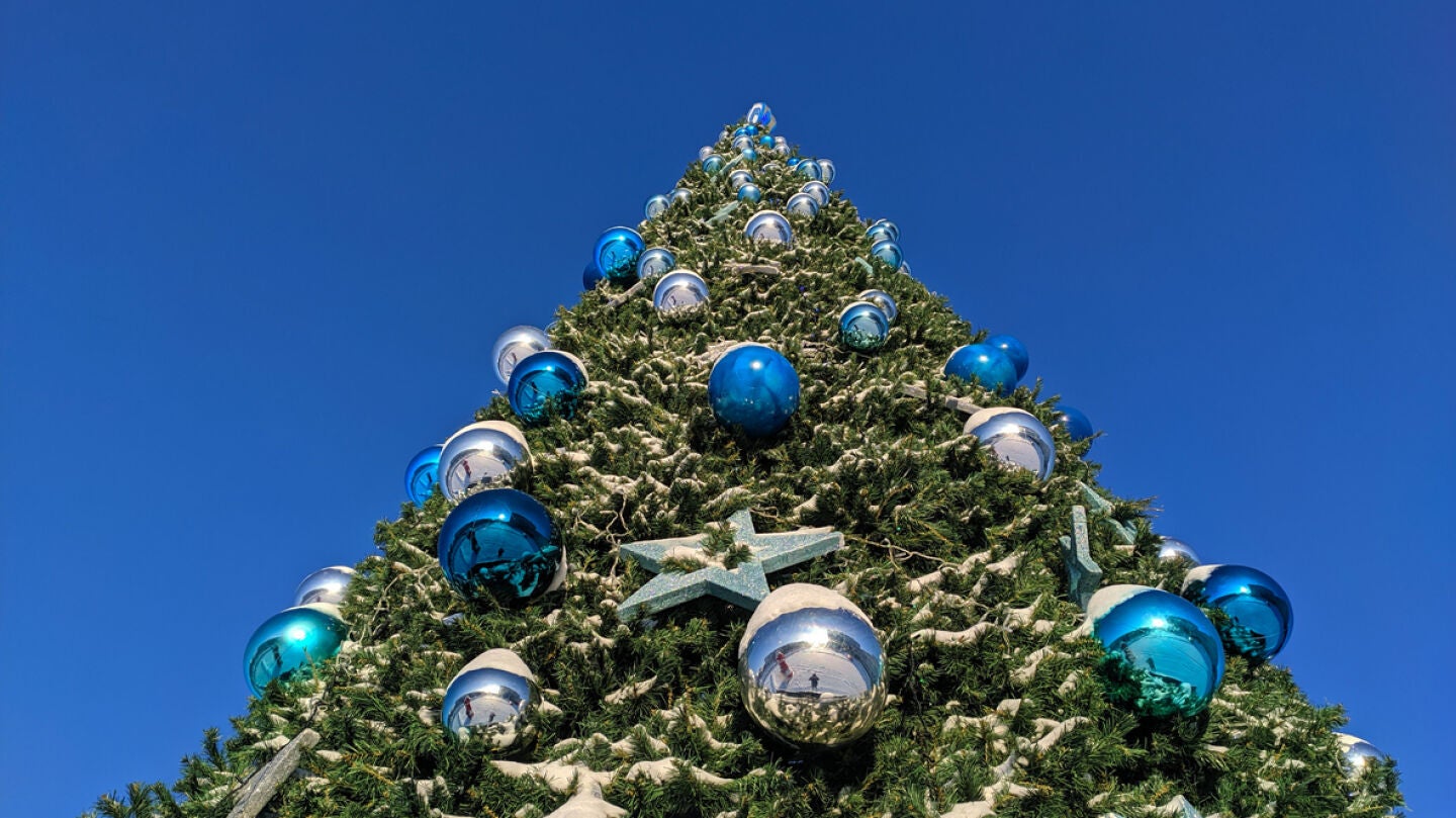 Imagen de un &aacute;rbol de Navidad