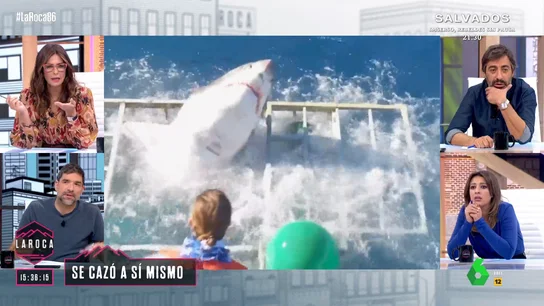 Un tiburón se cuela en la jaula de los submarinistas Un tiburón se cuela en la jaula de los submarinistas