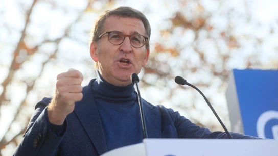 El presidente del PP, Alberto Núñez Feijóo, durante el acto organizado por el Partido Popular en defensa de la Constitución y de la igualdad, este domingo en el Parque del Templo de Debod, en Madrid. El presidente del PP, Alberto Núñez Feijóo, durante el acto organizado por el Partido Popular en defensa de la Constitución y de la igualdad, este domingo en el Parque del Templo de Debod, en Madrid.