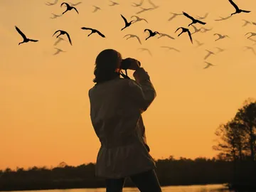 Avistamiento de aves y enoturismo Avistamiento de aves y enoturismo