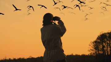 Avistamiento de aves y enoturismo