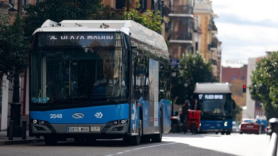Estos son los colectivos que tendrán transporte público gratuito a partir de enero de 2024 Estos son los colectivos que tendrán transporte público gratuito a partir de enero de 2024