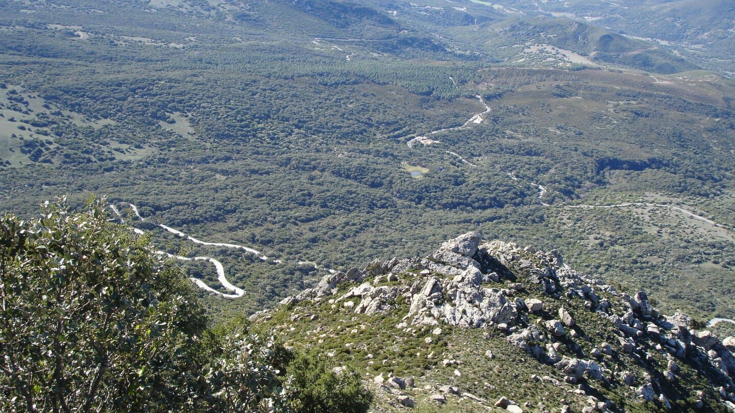 Parque Natural de Los Alcornocales en Andaluc&iacute;a