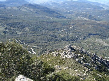 Parque Natural de Los Alcornocales en Andalucía