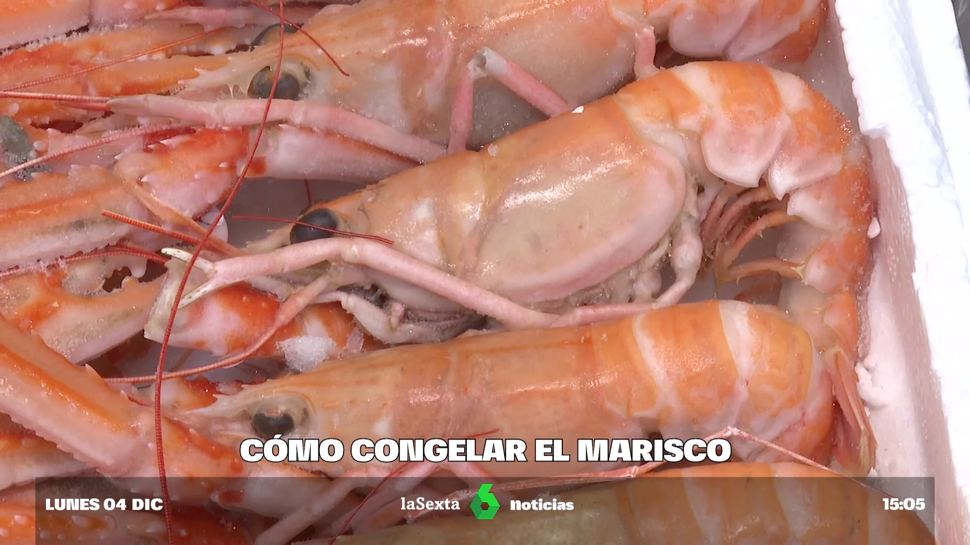 MARISCO CONGELADO