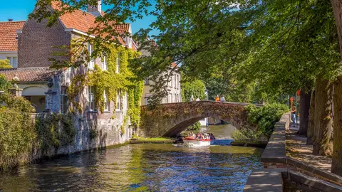 Brujas Brujas