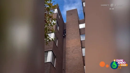 Así baja un hombre a la calle desde el último piso de un edificio "Es una buena forma de escaparse de casa si viene a visitarte tu cuñado", comenta con ironía Miki Nadal tras mostrar en este vídeo de Zapeando a un hombre que baja de un último piso a la calle deslizándose por la fachada de un edificio.