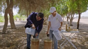 La fórmula científica para convertir la arena del desierto de Dubái en suelo fértil: "Podemos producir comida para más gente"