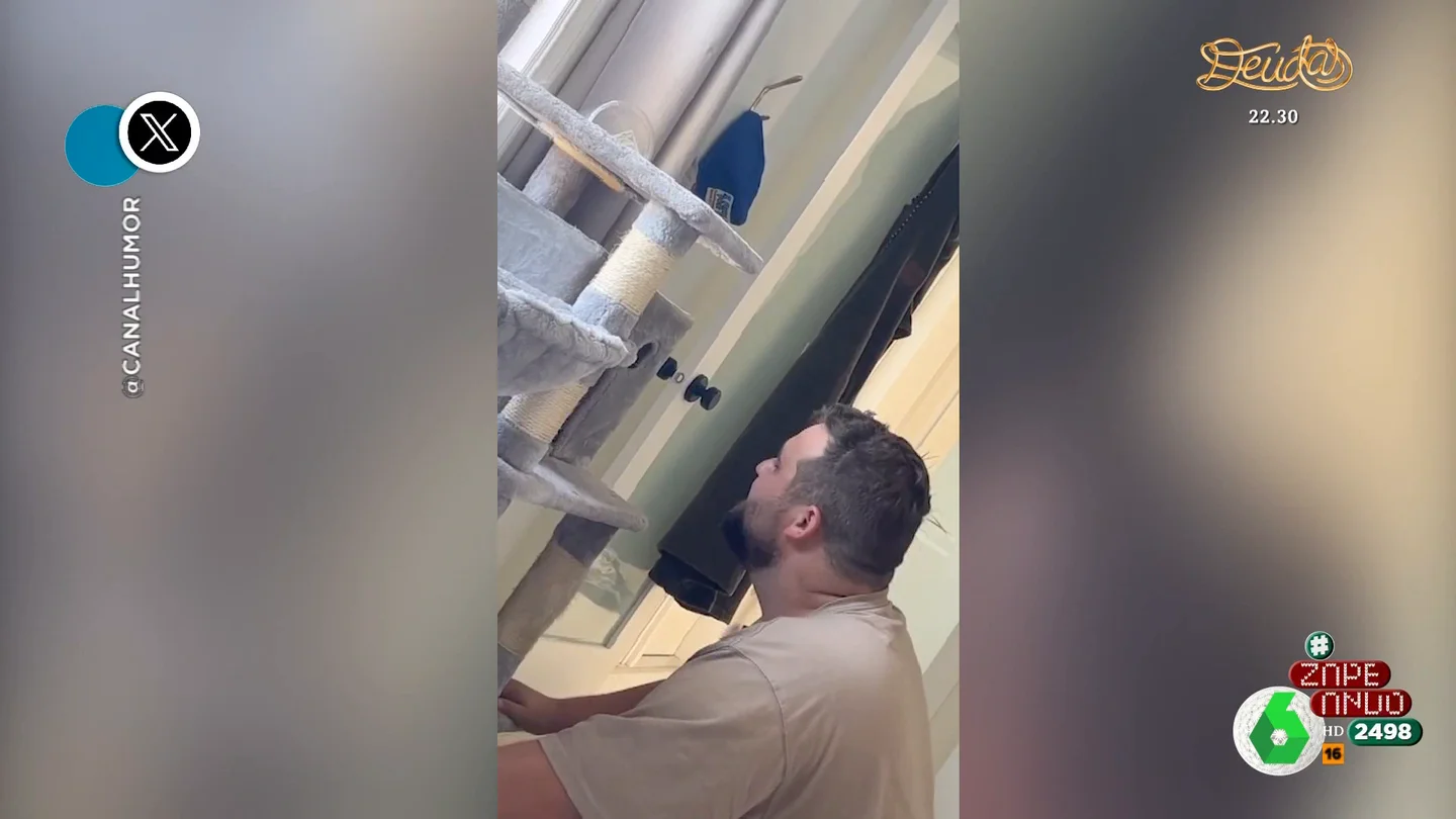 La sorprendente reacción de un gato cuando su dueño lo observa a través de un agujero La sorprendente reacción de un gato cuando su dueño lo observa a través de un agujero