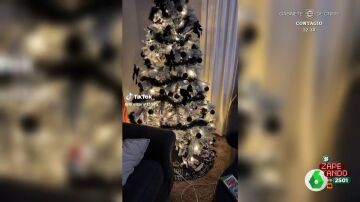 El inesperado adorno navideño que se encuentra una chica en el árbol de su salón