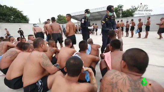 Un experto desvela cómo es la cárcel de Daniel Sancho en Tailandia "La sensación es de que estás cumpliendo condena en una sauna", afirma a Equipo de Investigación Javier Casado, que en este vídeo detalla a Equipo de Investigación las difíciles condiciones de la cárcel de Daniel Sancho en Tailandia.
