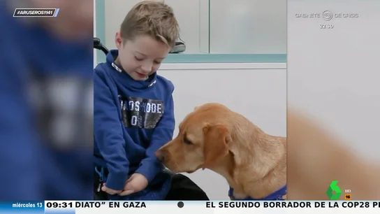 La increíble delicadeza de un perro de asistencia al ayudar a un niño con movilidad reducida a desvestirse  La increíble delicadeza de un perro de asistencia al ayudar a un niño con movilidad reducida a desvestirse