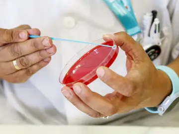 Desarrollan una vacuna que se inhala para prevenir el Covid-19 Desarrollan una vacuna que se inhala para prevenir el Covid-19