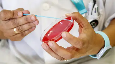 Desarrollan una vacuna que se inhala para prevenir el Covid-19 Desarrollan una vacuna que se inhala para prevenir el Covid-19