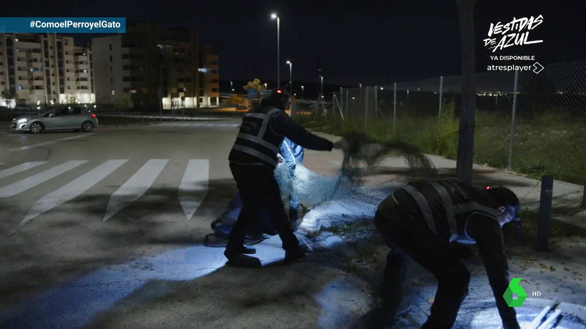 Un gato en las calles de Rivas-Vaciamadrid pone “a la carrera” a Los Cuatro de la Empanadilla