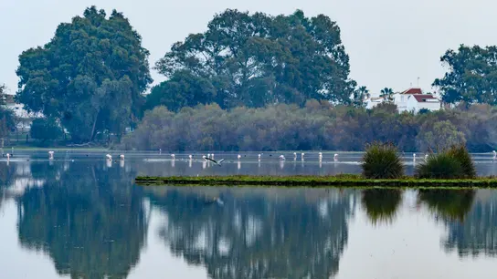 Parque Nacional de Doñana Parque Nacional de Doñana