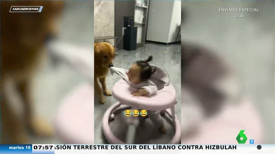 La divertida atracción de feria que montan un bebé y un perro en el salón de su casa: "Que distraiga un rato al niño no tiene precio" La divertida atracción de feria que montan un bebé y un perro en el salón de su casa: "Que distraiga un rato al niño no tiene precio"