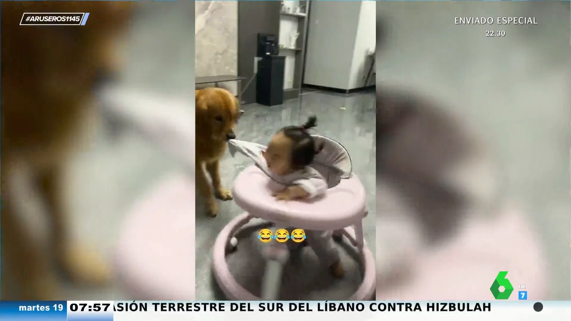 La divertida atracción de feria que montan un bebé y un perro en el salón de su casa: "Que distraiga un rato al niño no tiene precio"