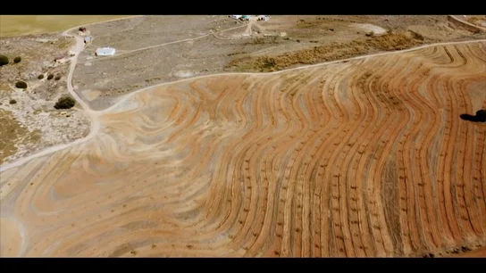 La cubierta vegetal y otras técnicas revolucionarias de agricultura regenerativa para paliar los efectos de la sequía La cubierta vegetal y otras técnicas revolucionarias de agricultura regenerativa para paliar los efectos de la sequía