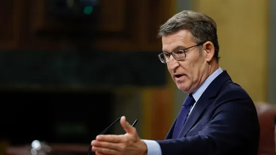 El líder del PP, Alberto Núñez Feijóo. El líder del PP, Alberto Núñez Feijóo.