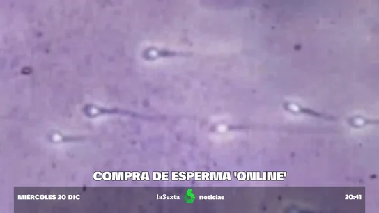 VentaSemen VentaSemen