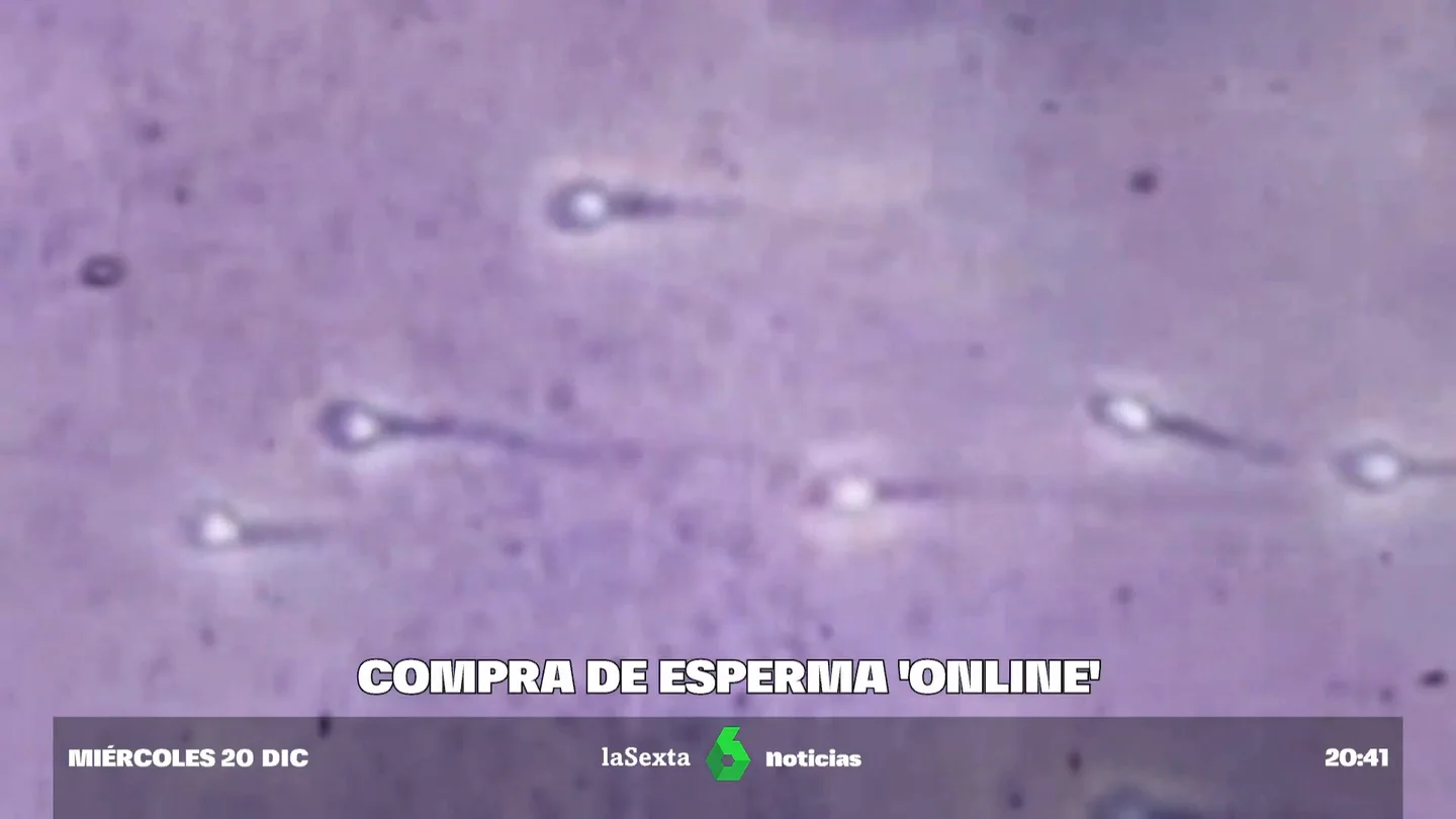 VentaSemen VentaSemen