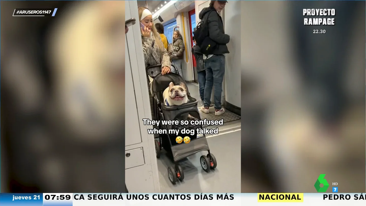 La divertida reacción de la gente cuando un perro se pone a hablarles en pleno metro La divertida reacción de la gente cuando un perro se pone a hablarles en pleno metro