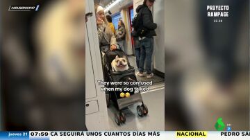 La divertida reacción de la gente cuando un perro se pone a hablarles en pleno metro