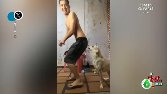 La inesperada reacción de un perro cuando su dueño baila reggaetón frente a él La inesperada reacción de un perro cuando su dueño baila reggaetón frente a él