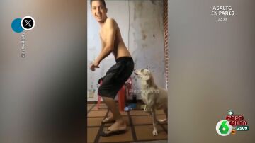 La inesperada reacción de un perro cuando su dueño baila reggaetón frente a él